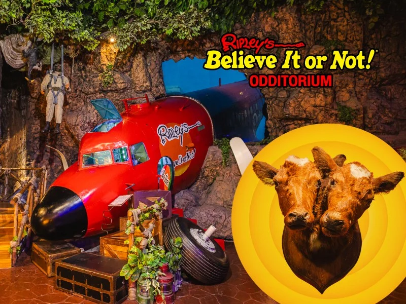 Ripley's Odditorium